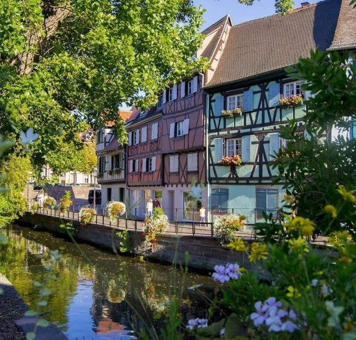 At Home In The Center Of Colmar Bagian luar foto